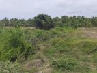 Land for Sale in Puttalam