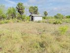 Land for Sale in Puttalam
