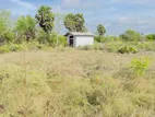 Land for Sale in Puttalam