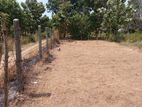 Land For Sale In Puttalam - Semmantharavai