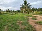 Land for Sale in Puttalam Town Area