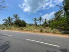 Land For Sale In Puttalam Town