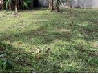Land for Sale in Quiet, Residential Area Kalubowila