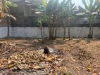 Land for Sale in Quiet, Residential Area Kalubowila