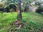 Land for Sale in Quiet, Residential Area Kalubowila