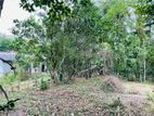 Land for Sale in Radawadunna