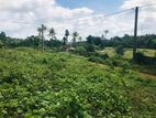 Land for Sale in Radawana