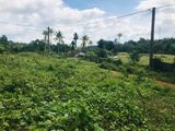 Land for Sale in Radawana