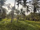 Land for Sale in Radawana