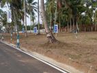 Land for Sale in Raddolugama