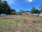 Land for Sale in Raddolugama