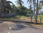 Land for Sale in Raddolugama-Seeduwa