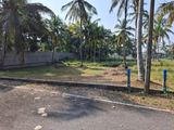 Land for Sale in Raddolugama-Seeduwa