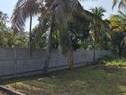 Land For Sale in Raddolugama-Seeduwa (SSPL-258)