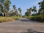 Land For Sale in Raddolugama-Seeduwa (SSPL-258)