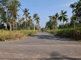 Land For Sale in Raddolugama-Seeduwa (SSPL-258)