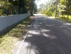 Land for Sale in Raddoluwa