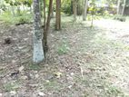 Land for Sale in Raddoluwa