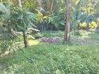 Land for Sale in Raddoluwa - Muthuwadiya