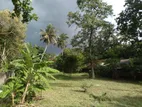 Land for sale in Raddoluwa,Seeduwa