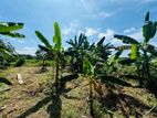 Land for Sale in Ragama 10 P