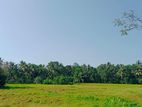 Land for Sale in Ragama, Batuwatta