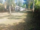 Land for Sale in Ragama