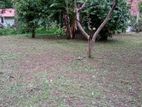 Land for Sale in Ragama