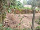 Land for Sale in Ragama