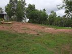 Land for Sale in Ragama