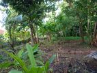 Land for Sale in Ragama