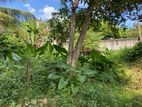 Land For Sale In Ragama