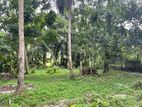 Land for Sale in Ragama