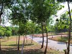 Land for sale in Ragama