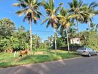 Land for Sale in Ragama