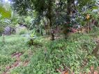 Land for sale in Ragama