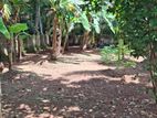Land For Sale In Ragama