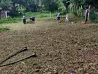 Land for Sale in Ragama