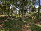 Land for Sale in Ragama