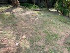 Land for Sale in Ragama