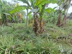 Land for Sale in Ragama