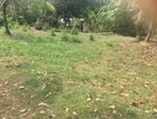 Land for Sale in Ragama