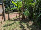 Land for sale in Ragama