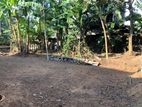 Land for sale in Ragama