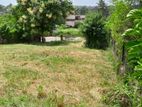 Land for Sale in Ragama