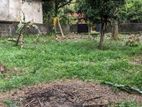 Land for Sale in Ragama (kurukulawa)