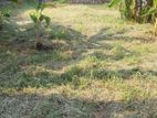 Land For Sale in Ragama (SSPL-256)
