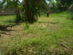 Land For Sale in Ragama (SSPL-256)