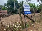 Land for sale in Ragama Tewatta (16) perches