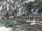 Land for Sale in Ragama, Tewatte (20 Perches or 10 *2)